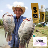 Cebo para pesca 🐠