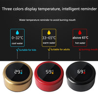 🌡️Termo Digital 🔥PAGAS AL RECIBIR EN CASA CON ENVIO GRATIS 🏠