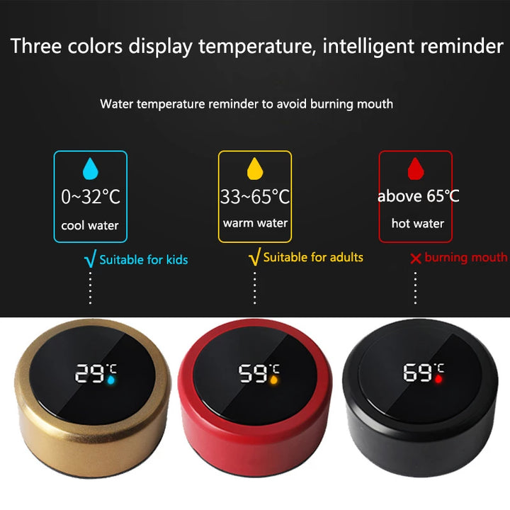 🌡️Termo Digital 🔥PAGAS AL RECIBIR EN CASA CON ENVIO GRATIS 🏠